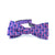 Bourbon Row Bow Tie + Sock Gift Set | Pink + Navy